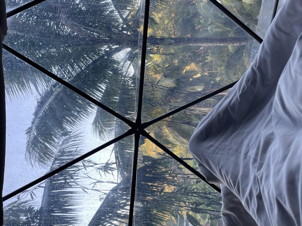 Inside the clear dome tent at Lintang Luku Tent Resort near Banyuwangi, on a grey wet morning